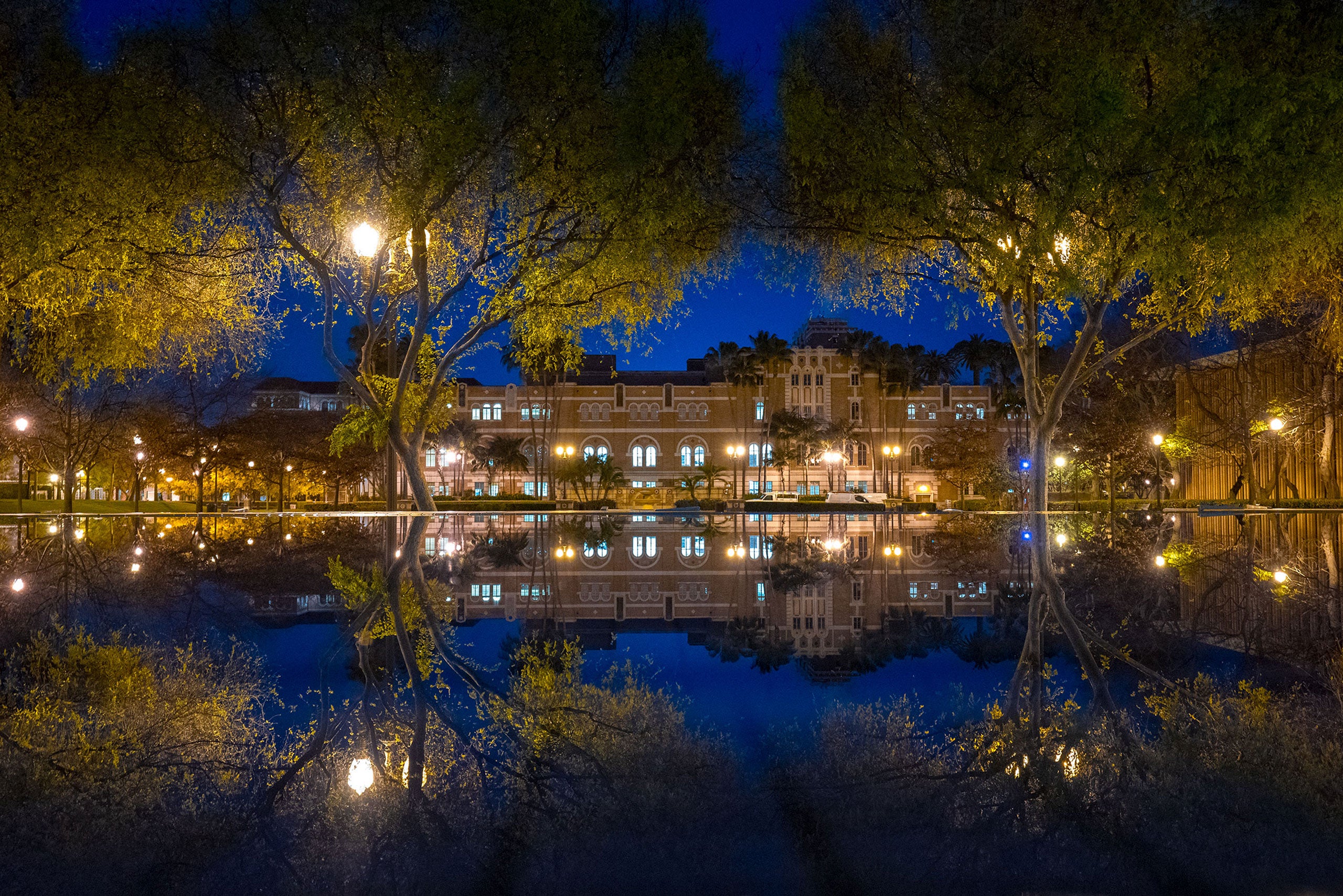 Night view of a lit building reflected in a pond, framed by trees under a dark blue sky.